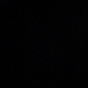 Meet your Posher, Will